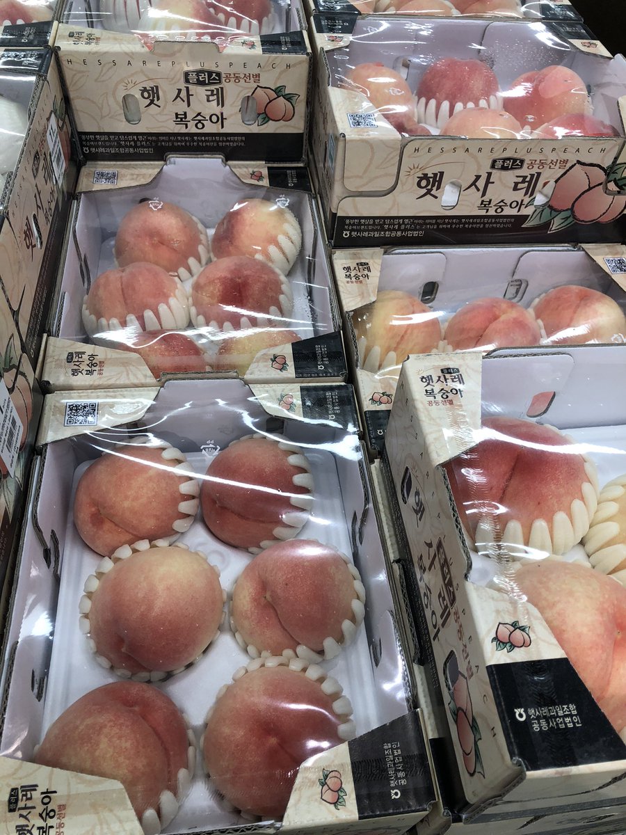 桃子 tweet media