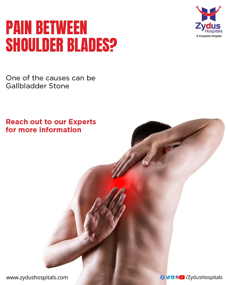 ZydusHospitals's tweet photo. Pain between shoulder blades?
Before it causes further worry, get it checked by experts from the Department of Gastro Sciences @ Zydus Hospitals, Ahmedabad
To book an appointment, call: 079 6619 0300 / 079 7166 6000
#ShoulderBlades #Gallbladder #ZydusHospitals #ZydusExperts https://t.co/oAvJ73ujXW
