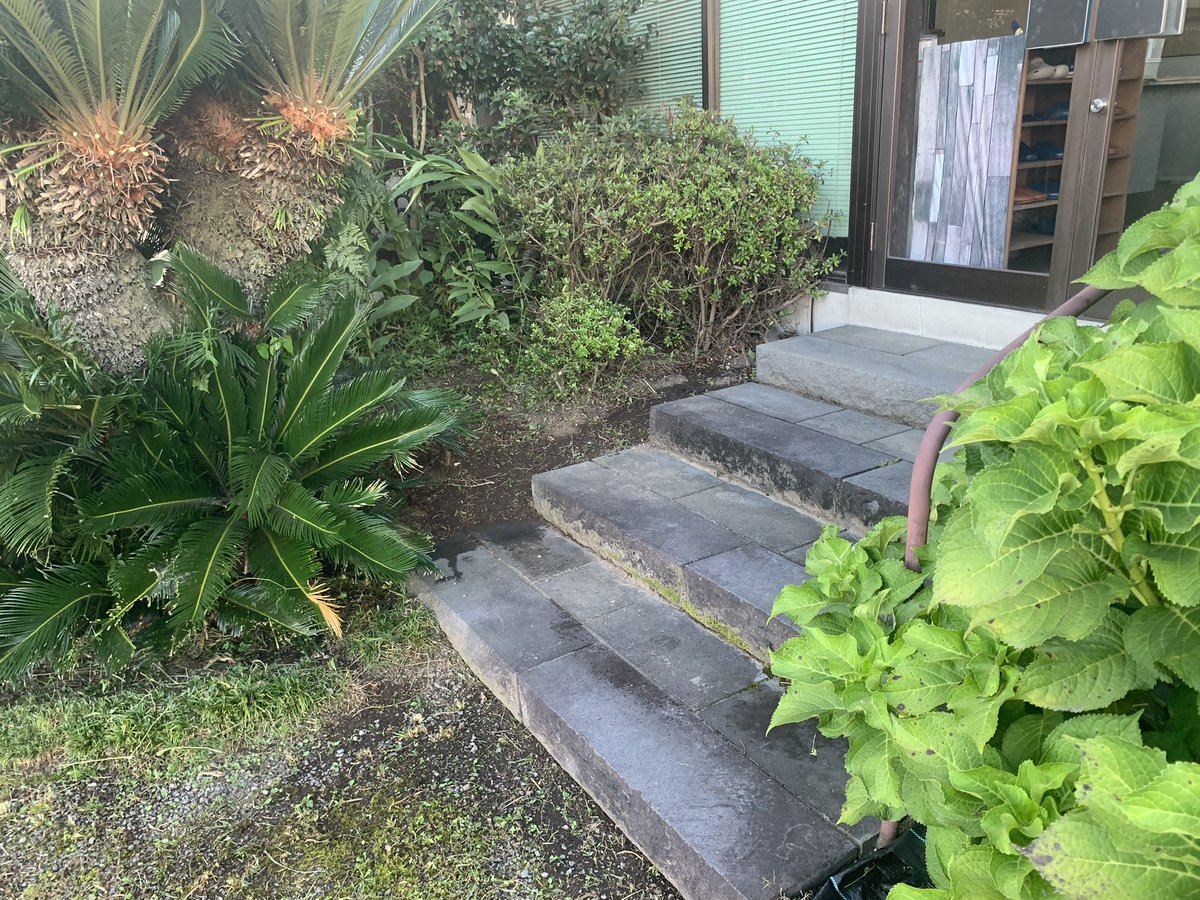 Dexterity1989's tweet photo. 委託作業終了
before撮り忘れafterのみ…
事務所&amp;駐車場の草刈り後に除草剤散布サービス‼︎

　　　※夏季キャンペーン※
草刈り作業ご依頼頂いた初めてのお客様に限り除草剤散布無料キャンペーン中🎉
期間:8月1日〜9月17日
無料散布面積:10坪 https://t.co/XcHbH3QNXA