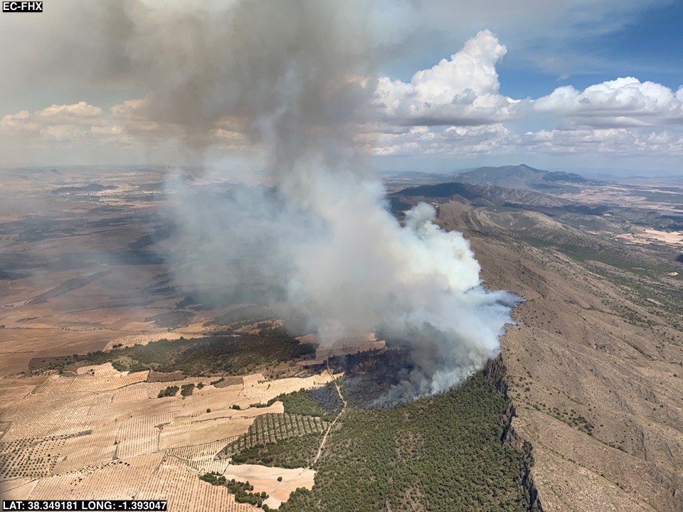 112rmurcia's tweet photo. Efectivos del Plan Infomur combaten un incendio forestal en Sierra Larga en Jumilla ▶️▶️https://t.co/l1AMrBnQrC https://t.co/P3hgUfFZ0K