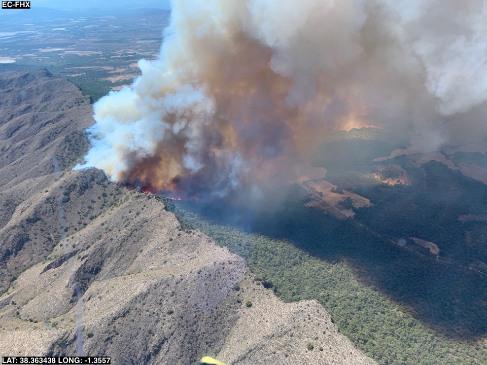 112rmurcia's tweet photo. Efectivos del Plan Infomur combaten un incendio forestal en Sierra Larga en Jumilla ▶️▶️https://t.co/l1AMrBnQrC https://t.co/P3hgUfFZ0K