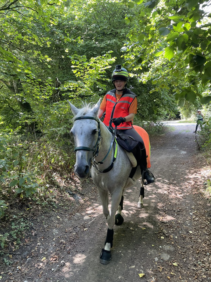 AntonyFjrth's tweet photo. My daughter is using the old driveways and tracks to cross @CranborneChase today on a 35km ride that will also earn some money for horse charity @RedwingsHS. Feel free to chip in - she’d really appreciate it! https://t.co/yrVTtgD9ql https://t.co/swPmr3xrTH