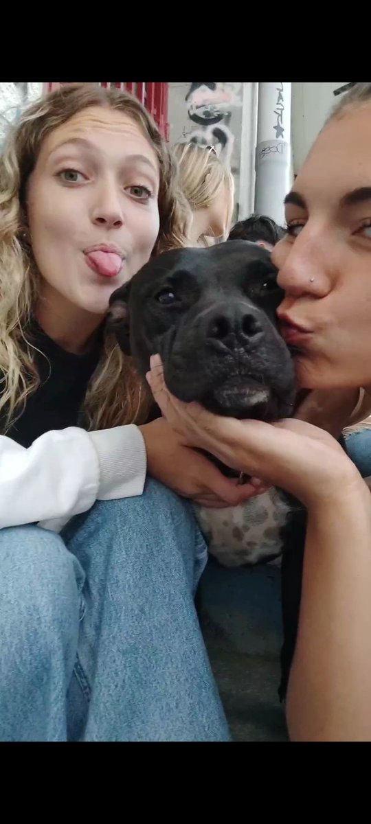 aleecomiin's tweet photo. Nala t amo https://t.co/HoHL587zls