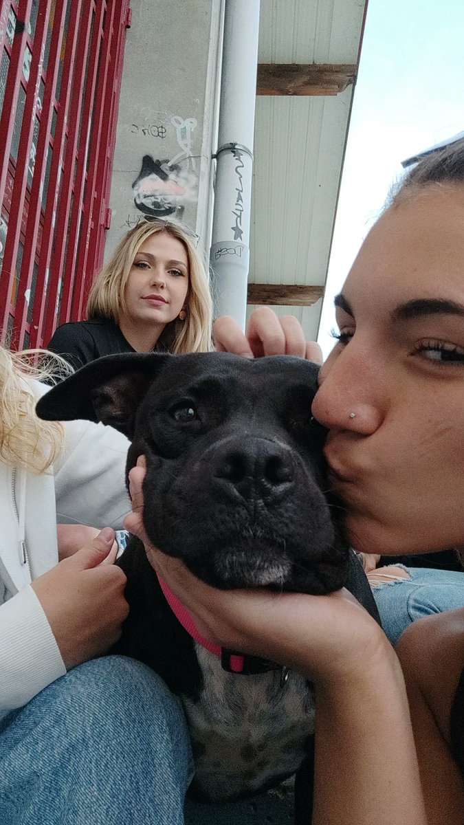 aleecomiin's tweet photo. Nala t amo https://t.co/HoHL587zls