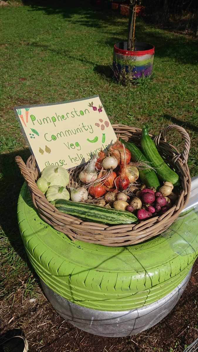 TomUllathorne's tweet photo. Great to harvest the fruits of @haston_jane labours in Fraser Park @PumpherstonCC .. If you're passing, make sure to take a bag of tasty fresh tatties, onions, courgettes and beans 🥰🌰🥔🫘🌿

#FoodSovereignty 👍 https://t.co/WPG9ZM9HwC
