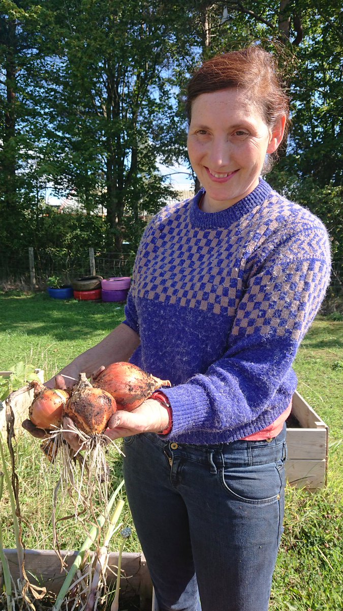 TomUllathorne's tweet photo. Great to harvest the fruits of @haston_jane labours in Fraser Park @PumpherstonCC .. If you're passing, make sure to take a bag of tasty fresh tatties, onions, courgettes and beans 🥰🌰🥔🫘🌿

#FoodSovereignty 👍 https://t.co/WPG9ZM9HwC