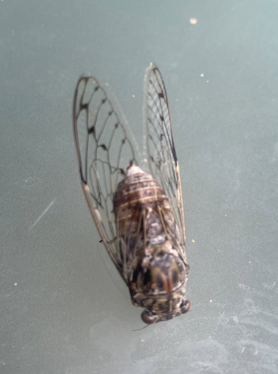 RelocateMe tweet media