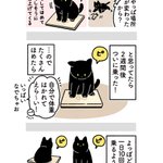 可愛くて癒される!愛猫と体重計のお話を描いた猫漫画!