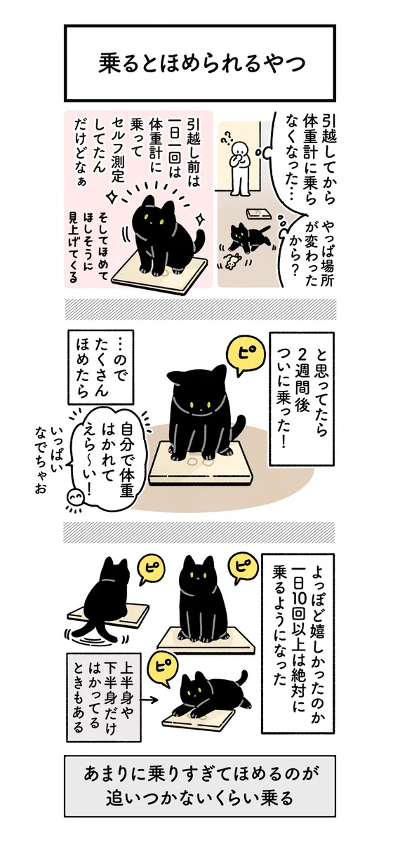 可愛くて癒される！愛猫と体重計のお話を描いた猫漫画！