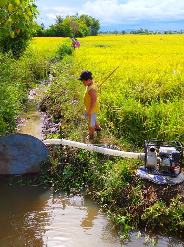 TrachNguyen1's tweet photo. village ! https://t.co/cO07CDJpLk