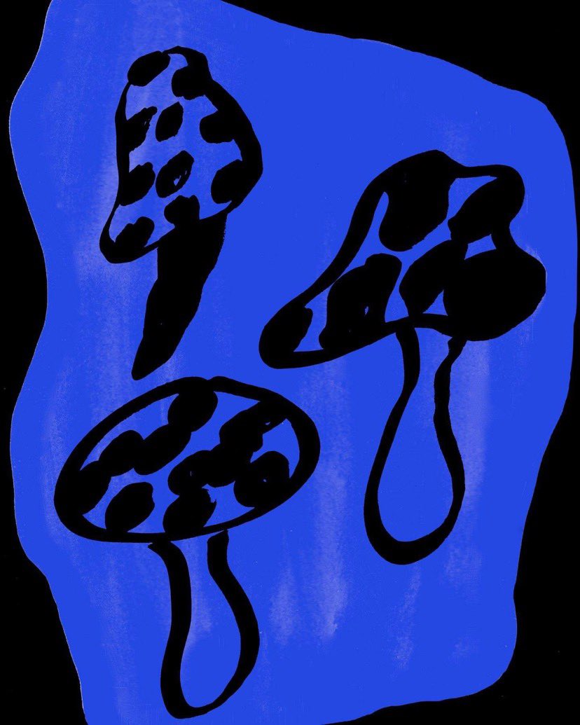 ManchesterPsychFest tweet media