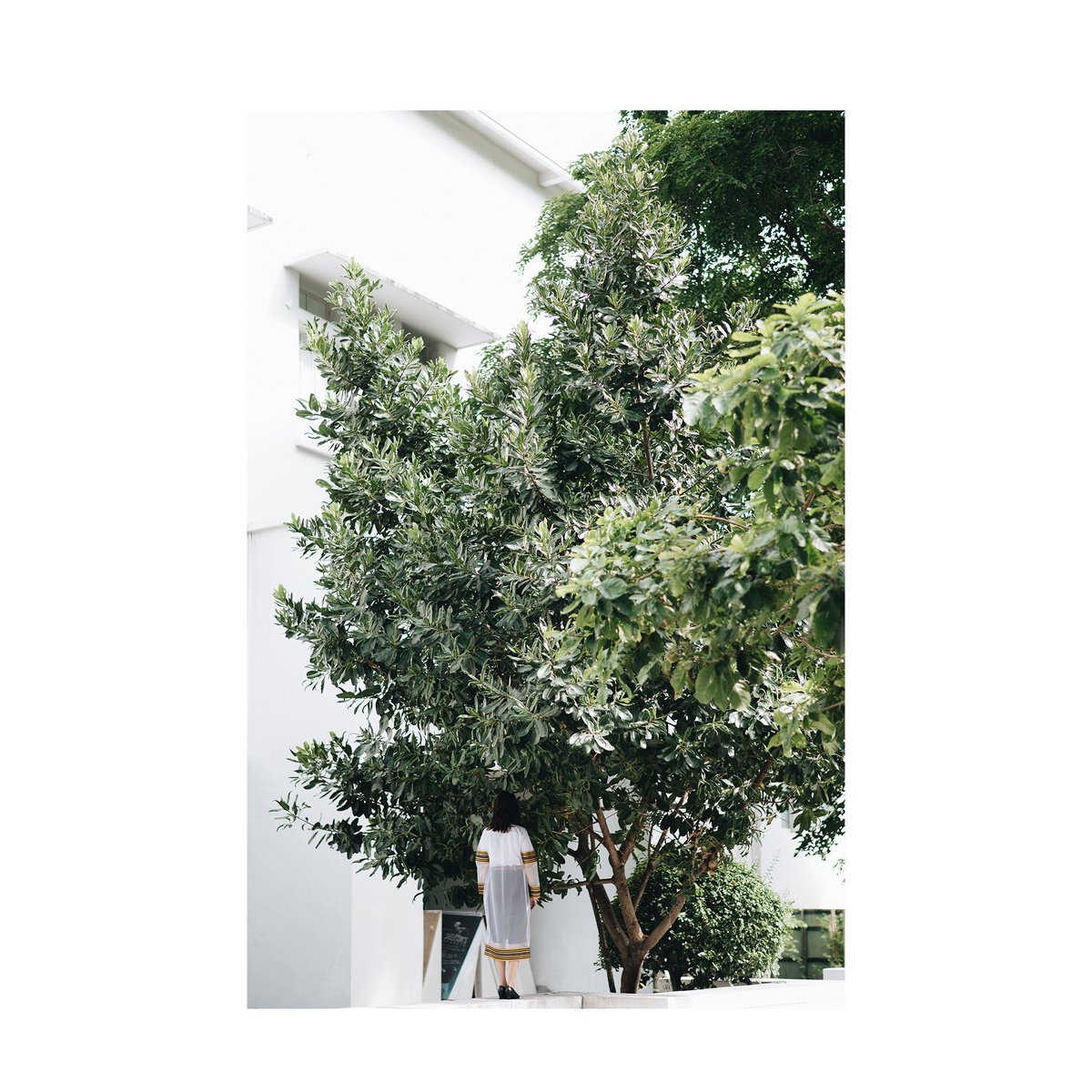 AnythinkP's tweet photo. ANYTHINK.photograher ติดต่อสอบถาม line : mrbluecat88 
#ช่างภาพ #หาช่างภาพ #ตากล้อง #รับถ่ายรูป #รับถ่ายภาพ #รับถ่ายภาพรับปริญญา #ถ่ายภาพรับปริญญา #ช่างภาพรับปริญญา #หาช่างภาพรับปริญญา #บัญฑิต #รับปริญญา #ปริญญา #นอกรอบกลุ่ม #นอกรอบคนเดียว https://t.co/LE4Di6XIST