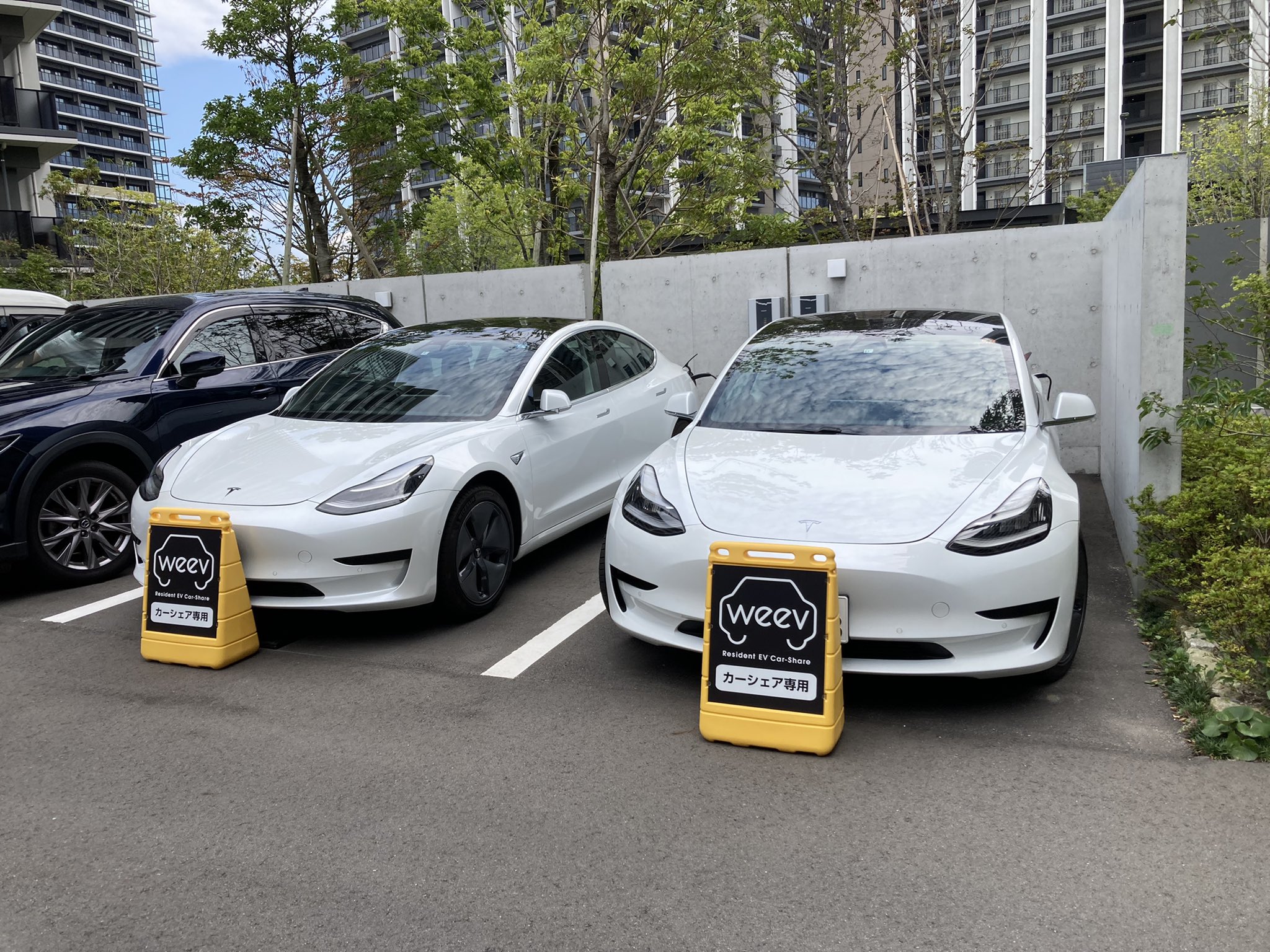 تويتر 井手 正広 九州 別府の観光コーディネーター على تويتر カーシェアでテスラ っっ笑 やっぱ都会は違うなー 福岡のアイランドシティ T Co Kzbq8jkxh5