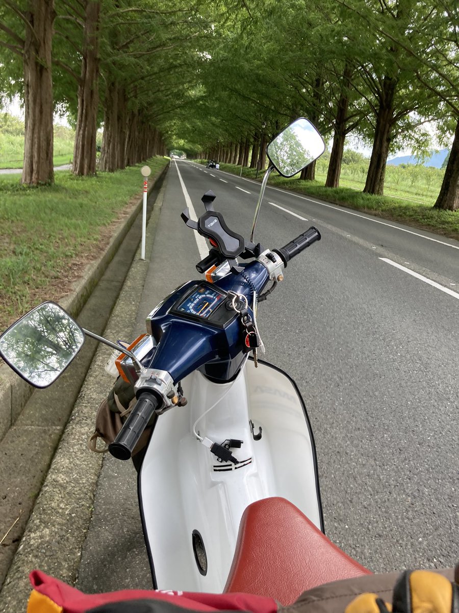 メタセコイア並木 のtwitterリアルタイム検索結果 Meyou ミーユー