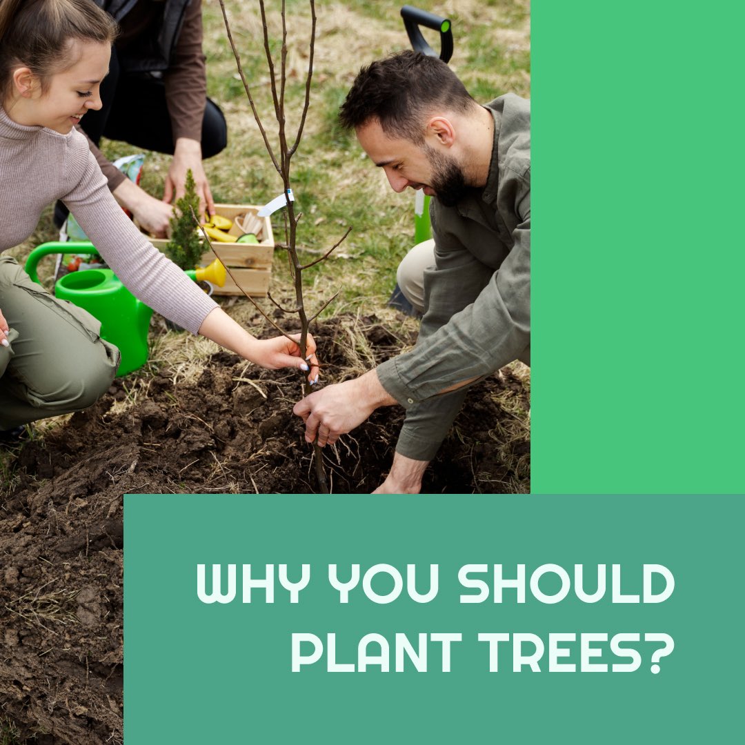 WoodLandEcoLife's tweet photo. 🌱 Why should you grow trees?  🌱

🙌🏻 Planting trees gives the feeling that you are changing the ecological situation for the better.
🙌🏻 Decrease the impact of felling.
🙌🏻 Healthy future of children.

Join us if you want to act now! ⚡️ https://t.co/072sbfzdqG