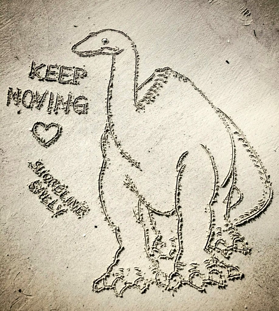 DigiDaughter's tweet photo. Keep Moving 🦕 #Gertie #WinsorMcCay #Animation #GertietheDinosaur #dinosaur #TrickFilms #film #seaweed #vaudeville #EarlyAnimation
💛 #Covid2022 #Lockdown2021 #morale #VitaminSea 🌊🌊🌊 #DuneToons #Lockdown2020 #comics #cartoons ✍️ #SandBanksy #shorelinesally Character No.1665 https://t.co/SX6RjRZuHA