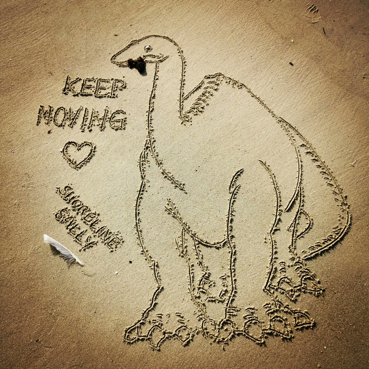 DigiDaughter's tweet photo. Keep Moving 🦕 #Gertie #WinsorMcCay #Animation #GertietheDinosaur #dinosaur #TrickFilms #film #seaweed #vaudeville #EarlyAnimation
💛 #Covid2022 #Lockdown2021 #morale #VitaminSea 🌊🌊🌊 #DuneToons #Lockdown2020 #comics #cartoons ✍️ #SandBanksy #shorelinesally Character No.1665 https://t.co/SX6RjRZuHA