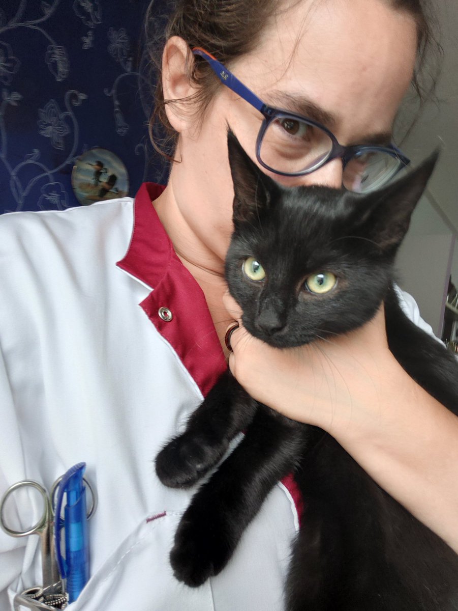 SamZuster's tweet photo. Ietsjes uitloop vandaag op mijn werk. Soms om de leuke kleine dingen in het leven. Cliënten met hun nieuwe aanwinst. Het is een dotje 🥰🥰 hij mocht alleen niet met mij mee naar huis 🤣 #zorg #wijkverpleging #poes #kat #zuster #dieren #dekleinedingen https://t.co/Ll6mHoW9hw