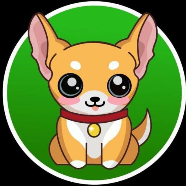 ChinaZj96's tweet photo. @HuobiGlobal @Chihuahua_bsc https://t.co/SOaxuXvIyT