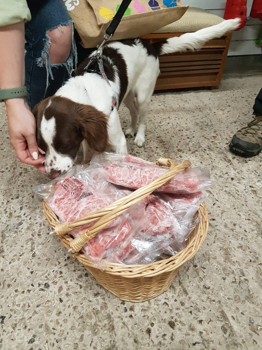 Nurturing by Nature tweet media