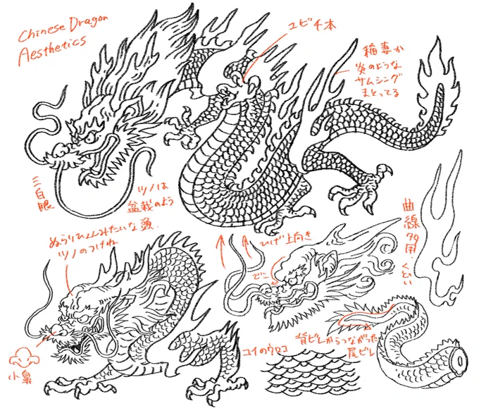 前に龍を描くための自分用ガイドラインメモを作ったのですが、指の本数は龍の階級によって異なるようです。
てっきりDBの神龍が4本だからみんなそうだと思ってました。 