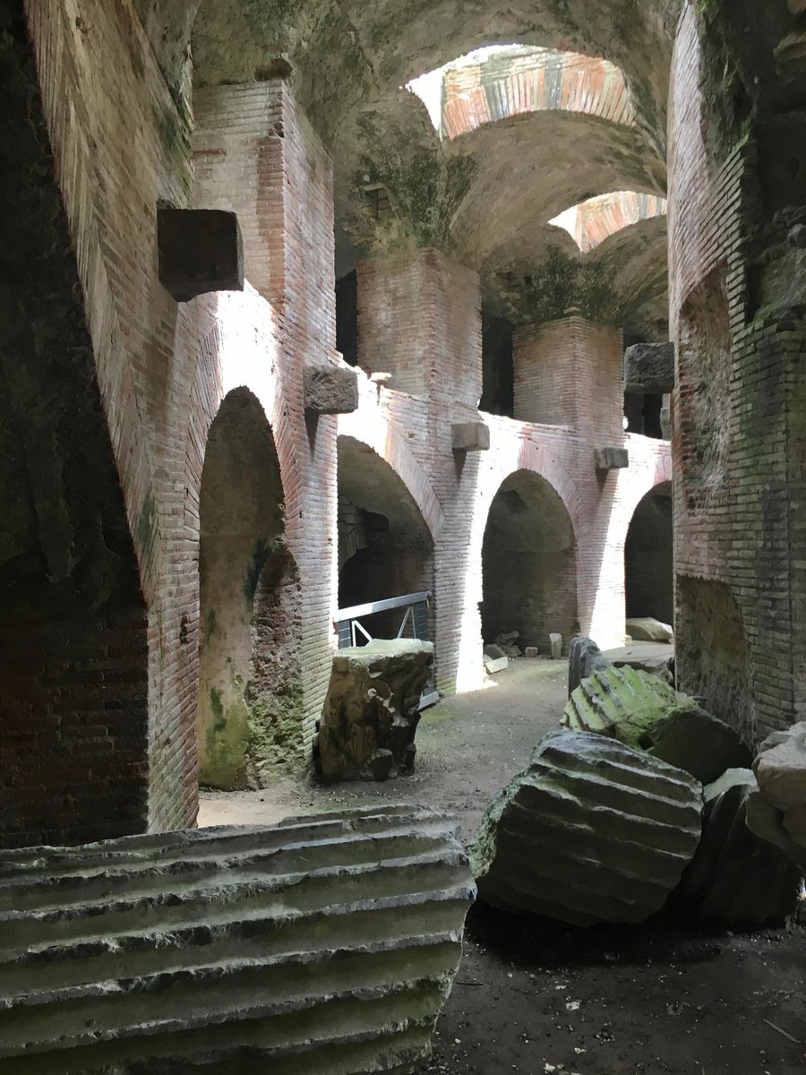 Symmach_'s tweet photo. A maintenance tunnel beneath the Roman amphitheatre at Pozzuoli, Italy.
It was built c. 70 CE, possibly by the same architects who designed the Colosseum. These loft openings were used to hoist animals or props up for shows.
📷u/DudeAbides
#Classics #Roman #Italy #History https://t.co/SyHYsBA4cl