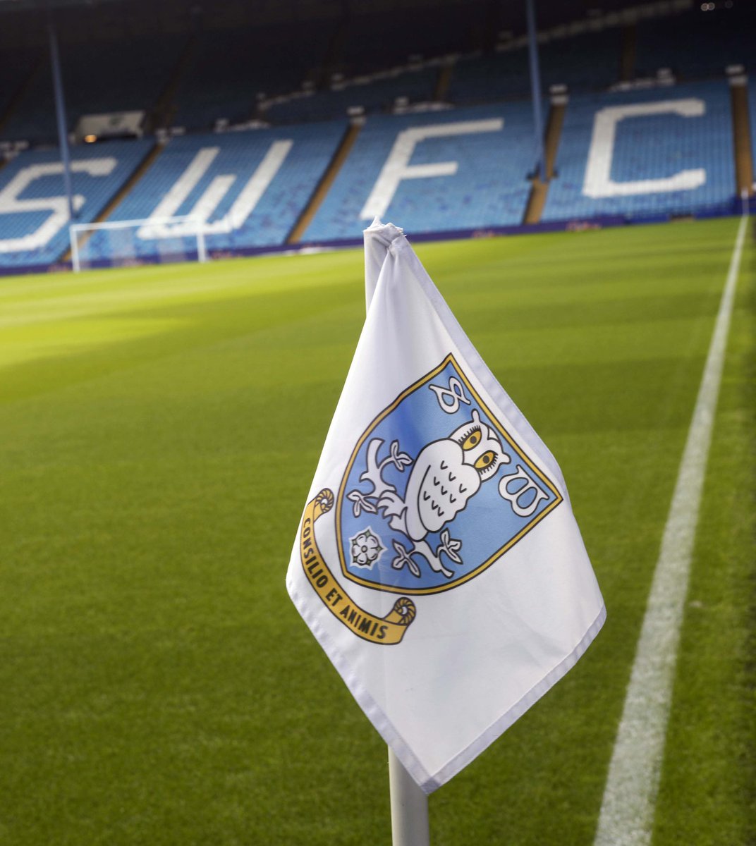 swfc's tweet photo. 🏠 Hillsborough looking 👌 

#SHWFGR https://t.co/fpqI07fVNW