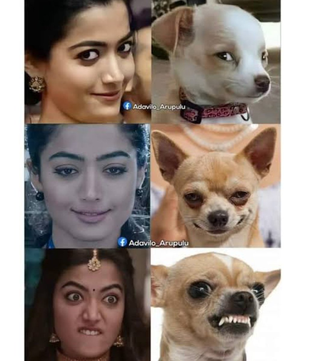 PralithaAK's tweet photo. Match found 🤣😂🏃‍♀️ https://t.co/32XRSI7cvm