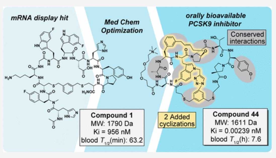 Dani Schultz (@danithechemist) on Twitter photo mRNA display makes billions of macrocyclic peptides in one round (š¤Æ) - dramatically impacting drug discovery.
<a href="/ACSMedChemLett/">ACS Med Chem Lett</a> highlights Merckās PCSK9 inhibitor which is the first clinical candidate from this technology!
pubs.acs.org/doi/10.1021/ac⦠mRNA display makes billions of macrocyclic peptides in one round (š¤Æ) - dramatically impacting drug discovery.
<a href="/ACSMedChemLett/">ACS Med Chem Lett</a> highlights Merckās PCSK9 inhibitor which is the first clinical candidate from this technology!
pubs.acs.org/doi/10.1021/acā¦
