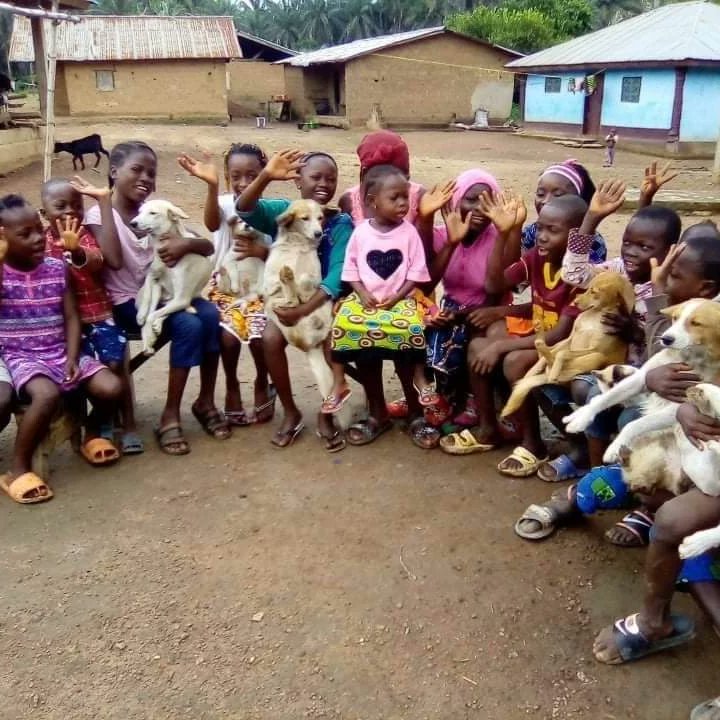 LiberiaAnimal's tweet photo. Yesterday August 26 was #INTERNATIONALDOGDAY. We used the day to celebrate all #dogs, irrespective of their breed, shape, size, etc. The day was also used to recognize kids and adults who are serving as ambassadors for #animals especially dogs.
#dogsareperfect #BeKindToAnimals https://t.co/oPAMOzW9uq