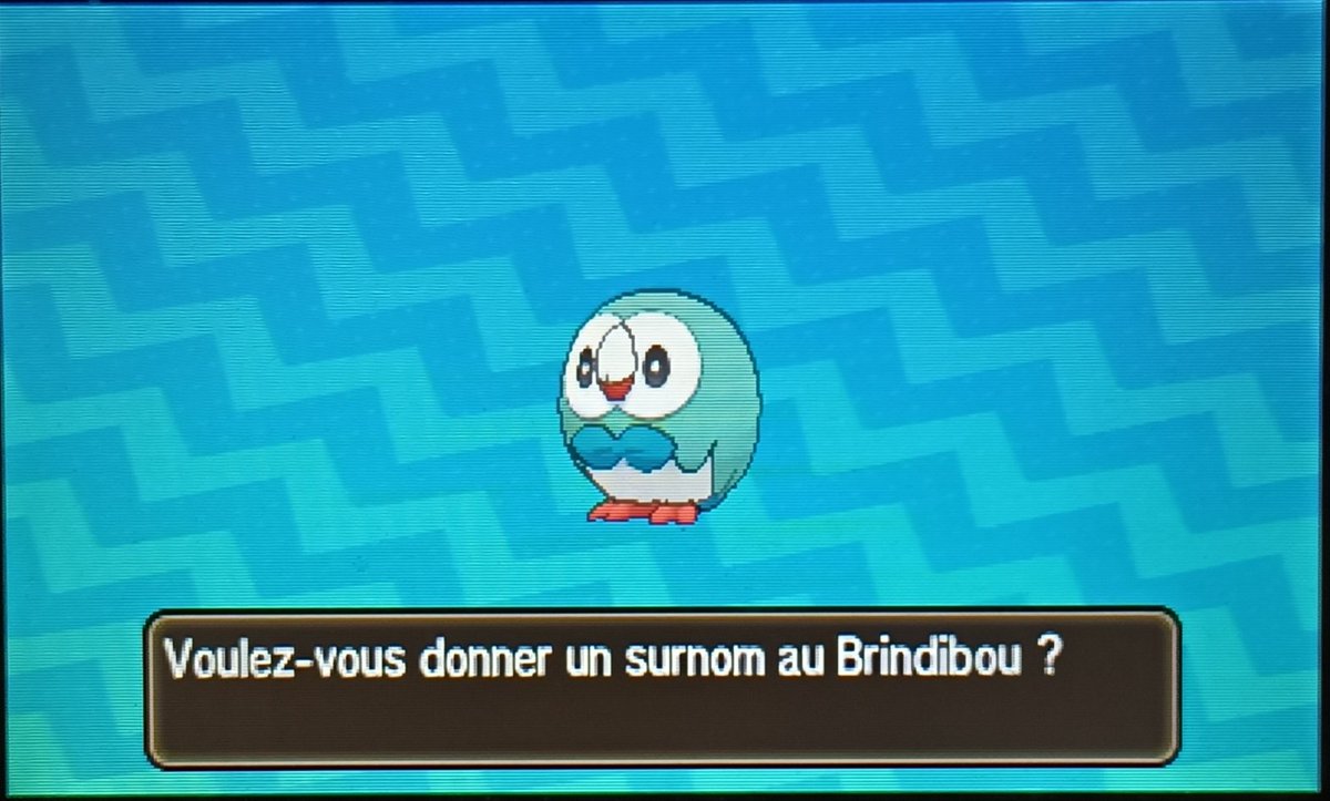 darkUltron_'s tweet photo. [12/25] Brindibou Shiny pour le moins inattendu 😅 je viens tout juste de reprendre cette shasse que je n'avais pas continué depuis plusieurs mois, il est arrivé après 842 resets 😍 ! Objectif réussir le Bingo cette année 💪! https://t.co/aJQqyP5itC