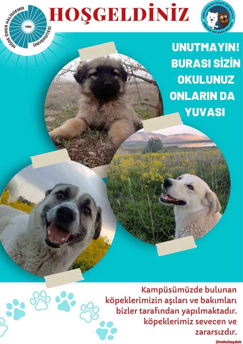 Üniversitemize yeni gelen arkadaşlarımız Hoşgeldiniz 🐾😊 <a href="/nohuhaydok/">NÖHÜ HAYVAN DOSTLARI KULÜBÜ 🐾</a>

#2022tayfa #okullaraçılıyor