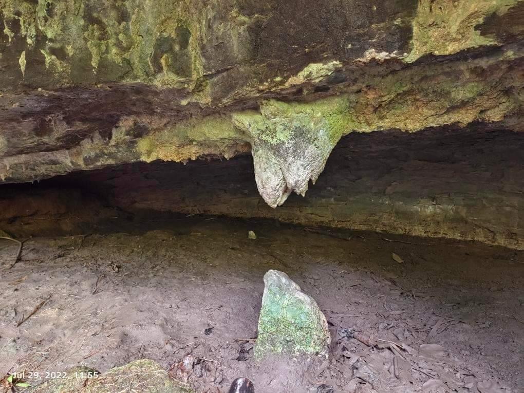 mizoraminsta's tweet photo. Fangfar puk, Reiek
.
.
Pic credit 📷 @elzeta_varte
.
.
.
#fangfarpuk #fangfar #cave #rockstructures #rock #mizoram #mizoraminsta #northeastIndia https://t.co/NG1KNZa4ik