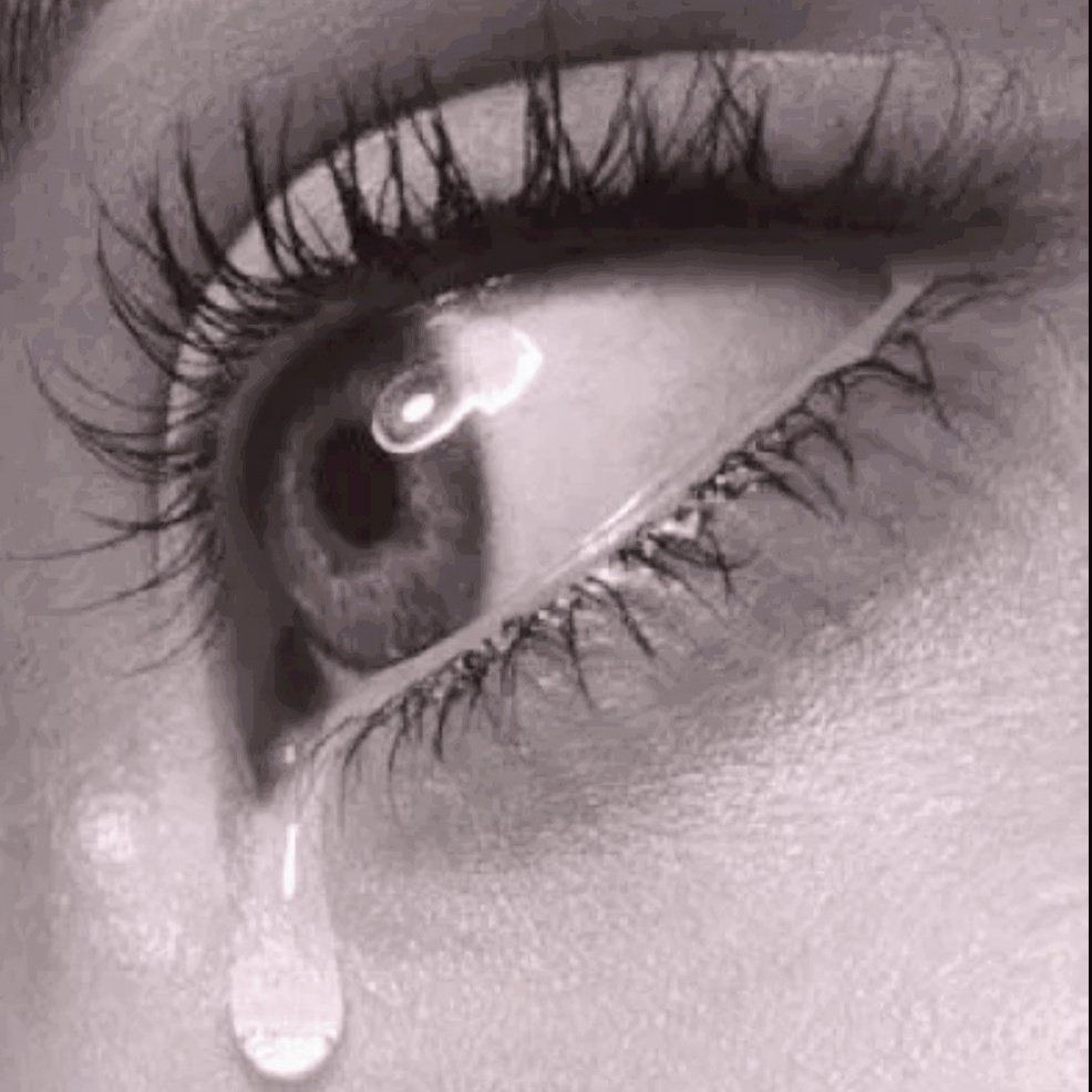 #صورة_ملف_شخصي_جديدة