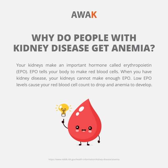 TheKidneyWarri1's tweet photo. #Anemia #blooddeficiency https://t.co/gxBZORaxzn