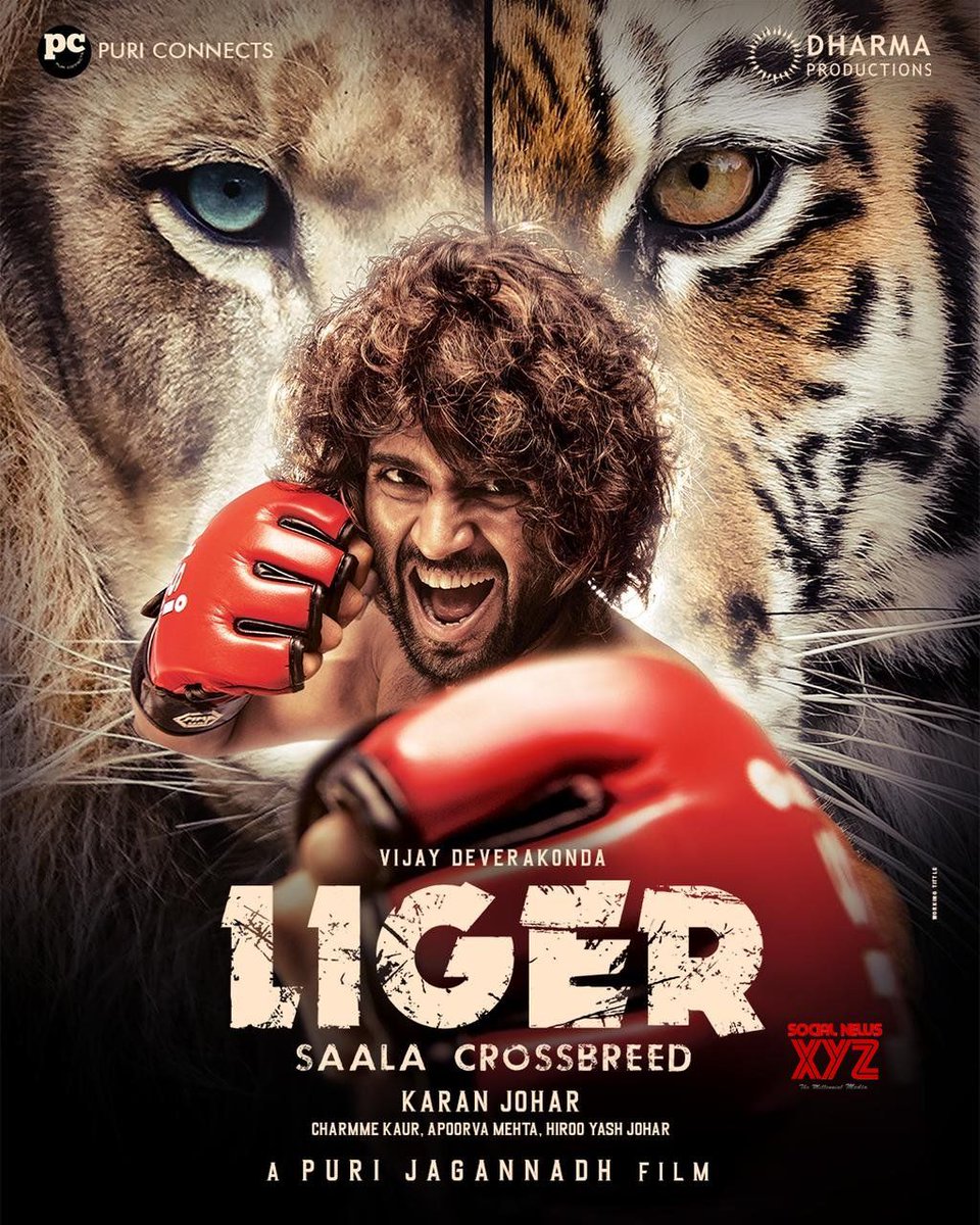 Sagarcritics's tweet photo. #Liger Opens at good mark at hindi belt.
Its a deverokonda show...#ligermoviereview
DAY 1 - ₹4.50Cr
Preview - ₹1.25Cr
Total - ₹5.75 Cr
Better than previous release south movies - #Radheshyam , #vikram ,#rocketery https://t.co/5rqgGivSnX
