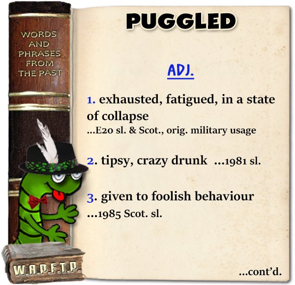 medicsupport's tweet image. Wonderful effort by all. And the world is educated on the meaning of #puggled 🥰