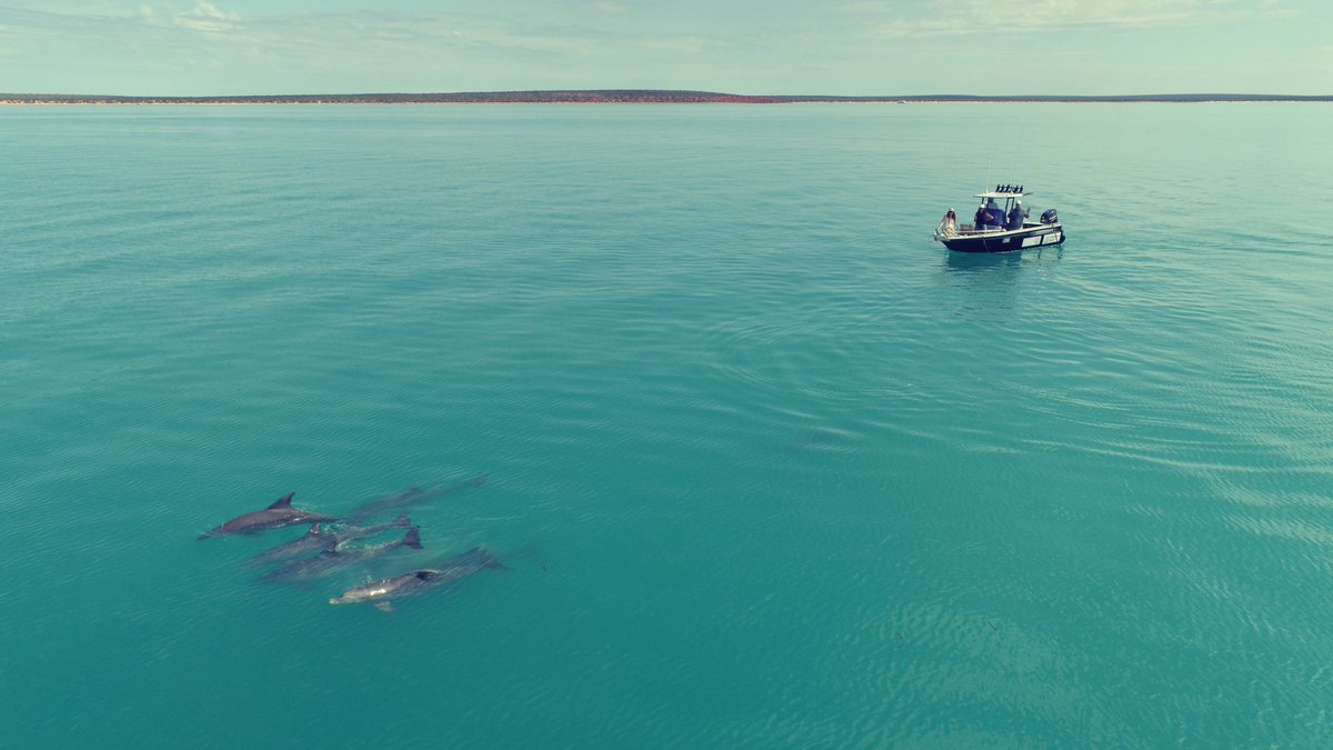 Fieldwork goals #SharkBay #Gathaagudu