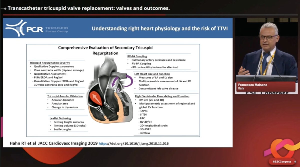 San Raffaele Heart Valve Center tweet media
