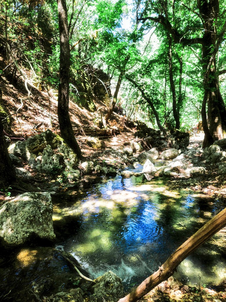 andtwiter1's tweet photo. #rodehs #rodi #greece #grecia #butterflyvalley #nature #naturelovers #naturephotography #naturelover https://t.co/WMGOCjVrhv