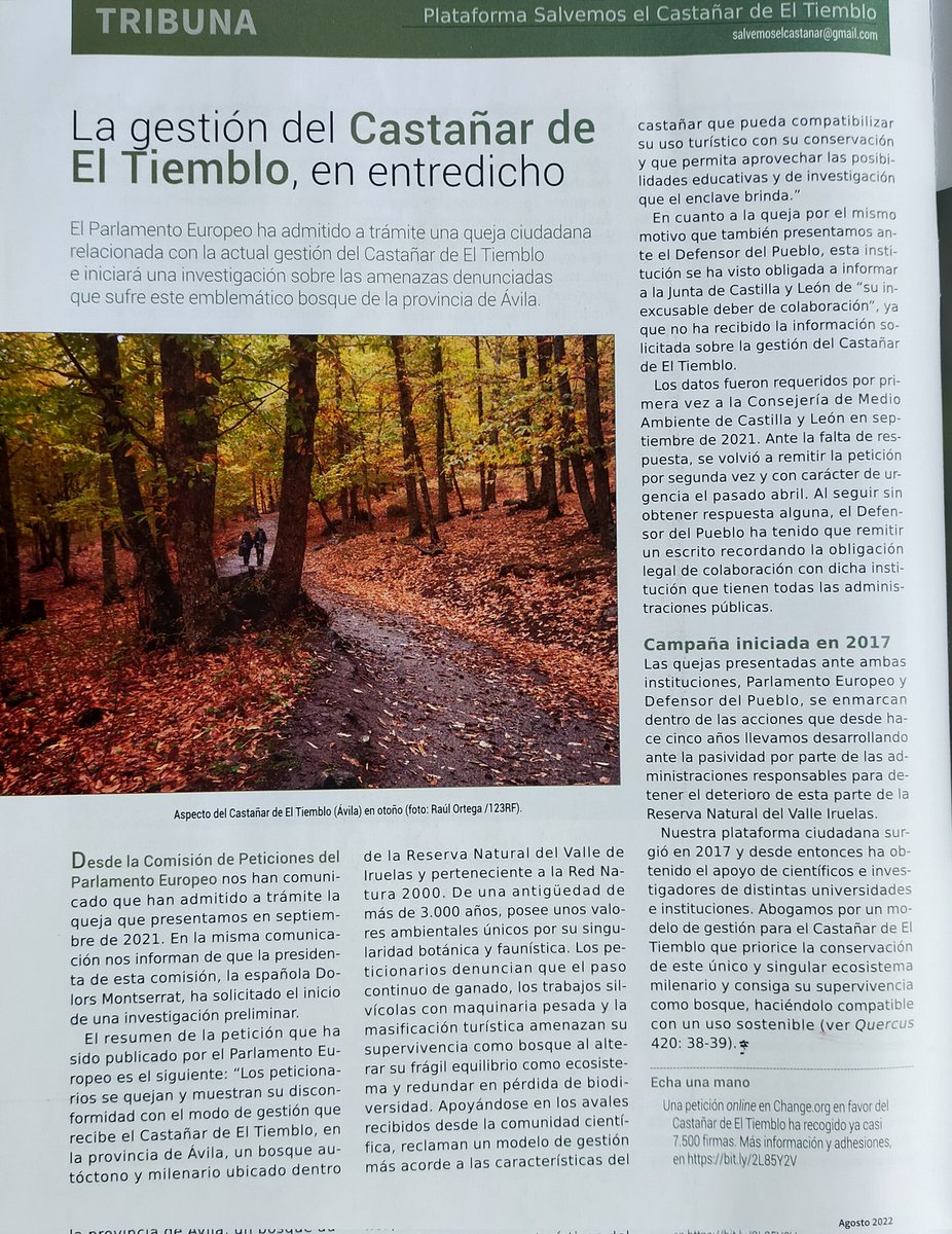 4fiti's tweet photo. SALVEMOS EL CASTAÑAR @deElTiemblo:
Firma para q la junta d @castillayleon
Adopte medidas urgentes para frenar el deterioro d un bosque con una antigüedad d + d 3000 años, tal como nos informa @RevistaQuercus en su numero d agosto https://t.co/xRcYtxP33T vía @change_es https://t.co/7D02gqG3vC