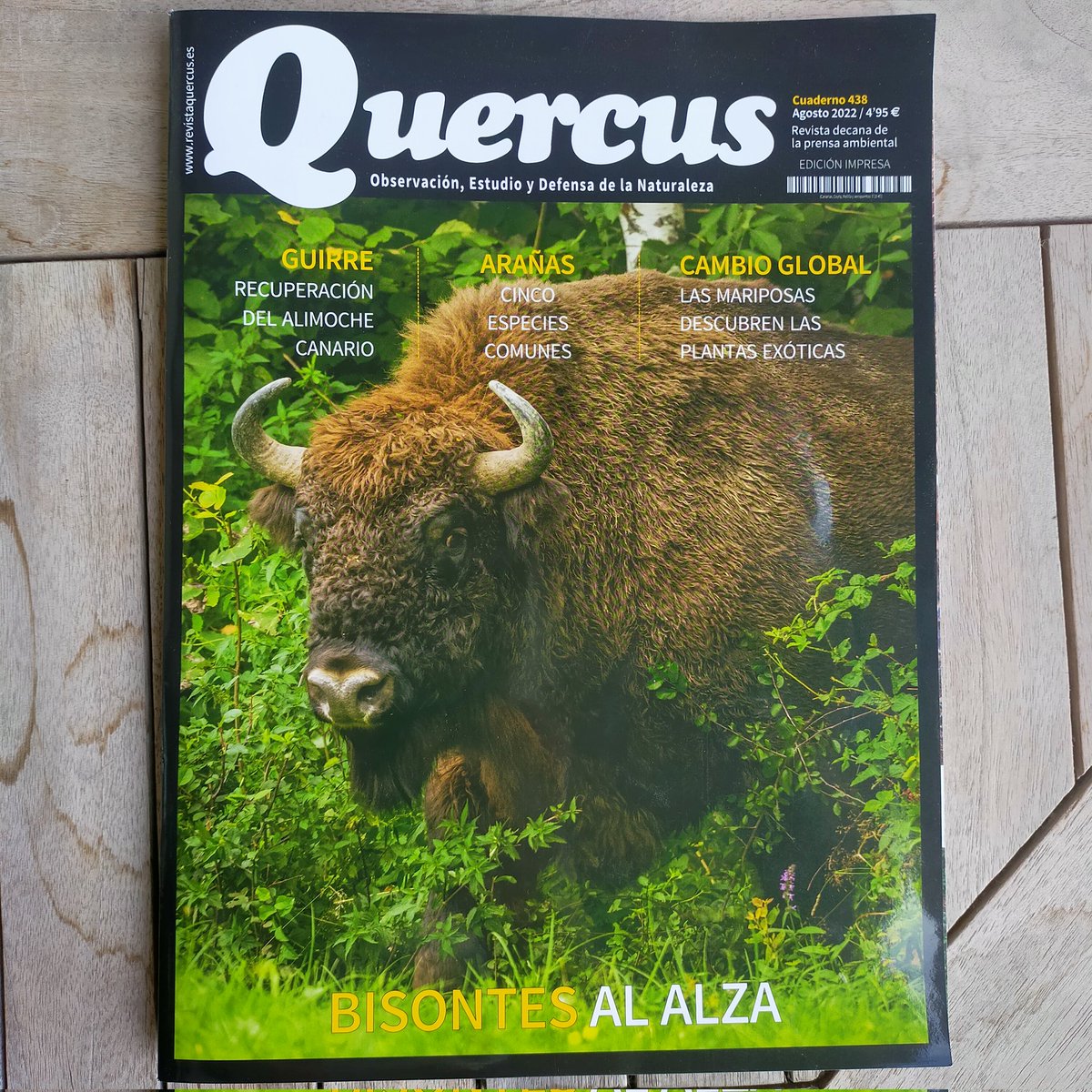 4fiti's tweet photo. SALVEMOS EL CASTAÑAR @deElTiemblo:
Firma para q la junta d @castillayleon
Adopte medidas urgentes para frenar el deterioro d un bosque con una antigüedad d + d 3000 años, tal como nos informa @RevistaQuercus en su numero d agosto https://t.co/xRcYtxP33T vía @change_es https://t.co/7D02gqG3vC