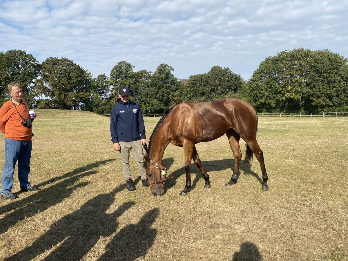 BritRacingClub's tweet photo. Gorgeous morning in Newmarket seeing our two fillies and looking round the fabulous @NHRMuseum. Brunch in the sun to top it all off before racing at @NewmarketRace! 

What a way to spend at Saturday ☀️ https://t.co/4SaCEdyyZh