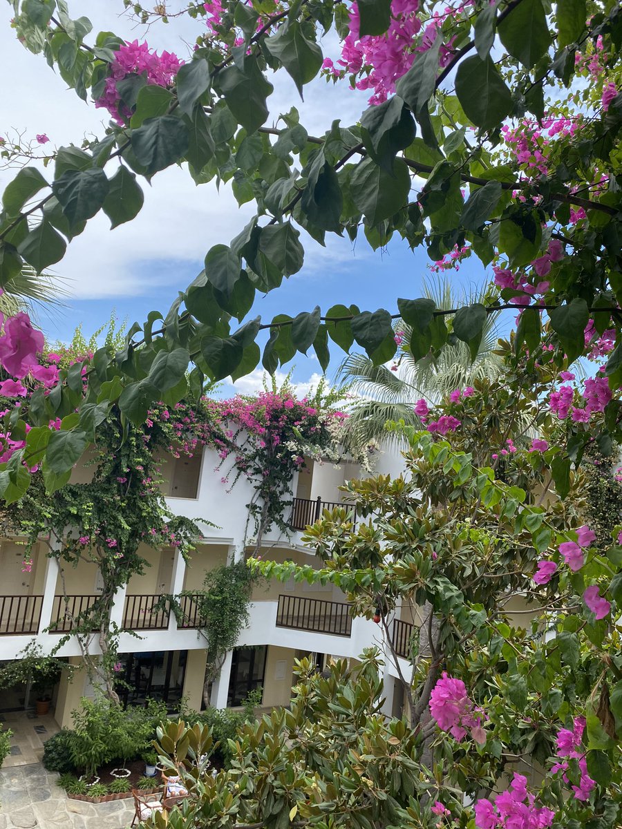 Kalbime bir müjde 💜