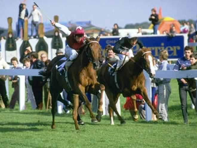 HORSERACING1002's tweet photo. OH SO SHARP,๐ฎ๐ช (KRIS)#OhSoSharp a G1 stakes winner. 1985 champion 3yo Filly in UK ๐ฌ๐ง. *Some consider her Triple crown winner after win 1000 Guineas,Oaks and St Leger. https://t.co/s3TvrmVKlm