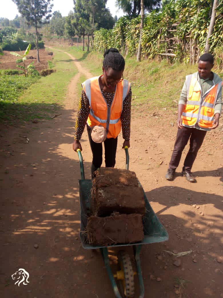 RutareRyvcp's tweet photo. Uyu munsi tariki ya 27/08/2022
Urubyiruko rw'abakorerabushake ba @rutare twakoze umuganda wo kubakira umuturage ubwiherero dufasha n'abaturage kwikingiza COVID-19
@GicumbiRyvcp 
@enganeyezu https://t.co/pBTeSAB2W4