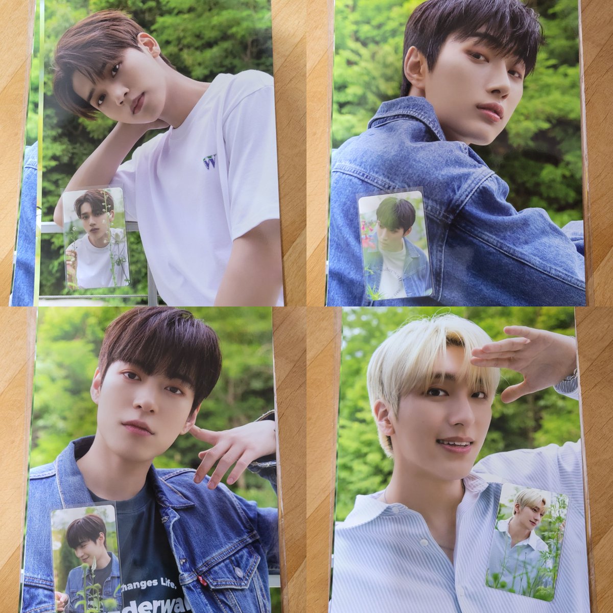 company0630's tweet photo. 오메가엑스 원더월 양도합니다

재한 휘찬 세빈 한겸 태동 XEN 젠 제현 
케빈 정훈 양혁 예찬 포카 포토카드 
오메가엑스 양도 교환 https://t.co/NrkkP0lSX6