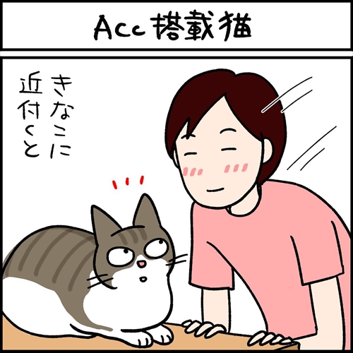 【漫画】愛猫に、そっと顔を近づけたら…… "ACC"を搭載する猫ちゃんと飼い主の攻防に「あるある!」「全く一緒」の声 https://t.co/sxoEOT80qq @itm_nlabより