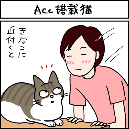 【漫画】愛猫に、そっと顔を近づけたら…… "ACC"を搭載する猫ちゃんと飼い主の攻防に「あるある!」「全く一緒」の声 https://t.co/sxoEOT80qq @itm_nlabより 