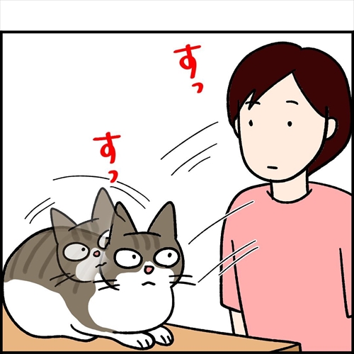 【漫画】愛猫に、そっと顔を近づけたら…… "ACC"を搭載する猫ちゃんと飼い主の攻防に「あるある!」「全く一緒」の声 https://t.co/sxoEOT80qq @itm_nlabより